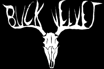 A deer skull on a plain black background, its antlers are shaped to spell BUCK VELVET.